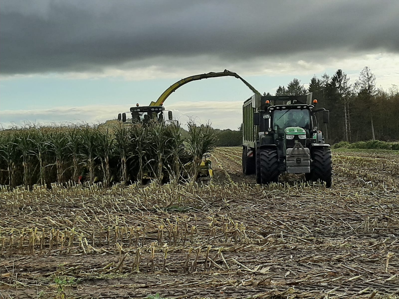 Lohnunternehmen Bäcker GmbH Maisernte Häcksler und Schlepper mit Ladewagen