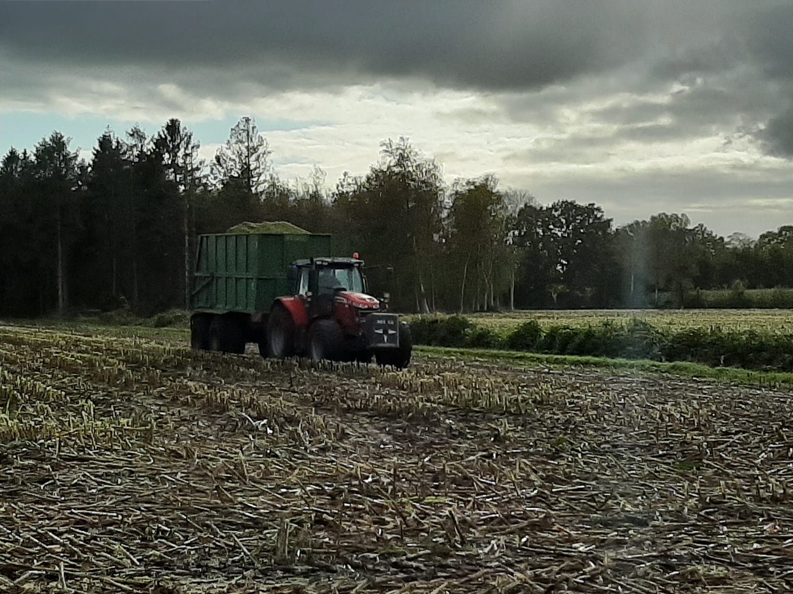 Maissilo von Bäcker GmbH Zetel
