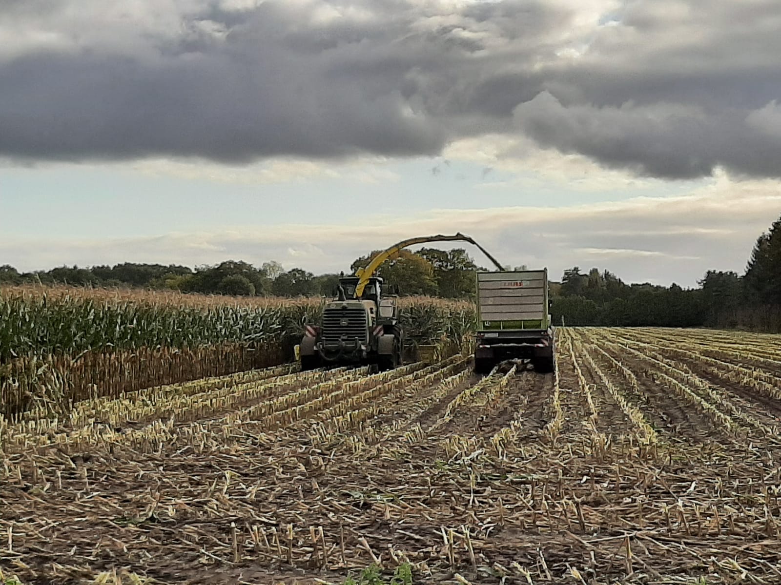 Maissilo von Bäcker GmbH Zetel