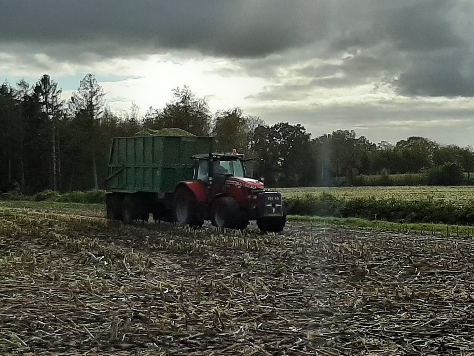 Schlepper mit Dumper voll Maishäcksel