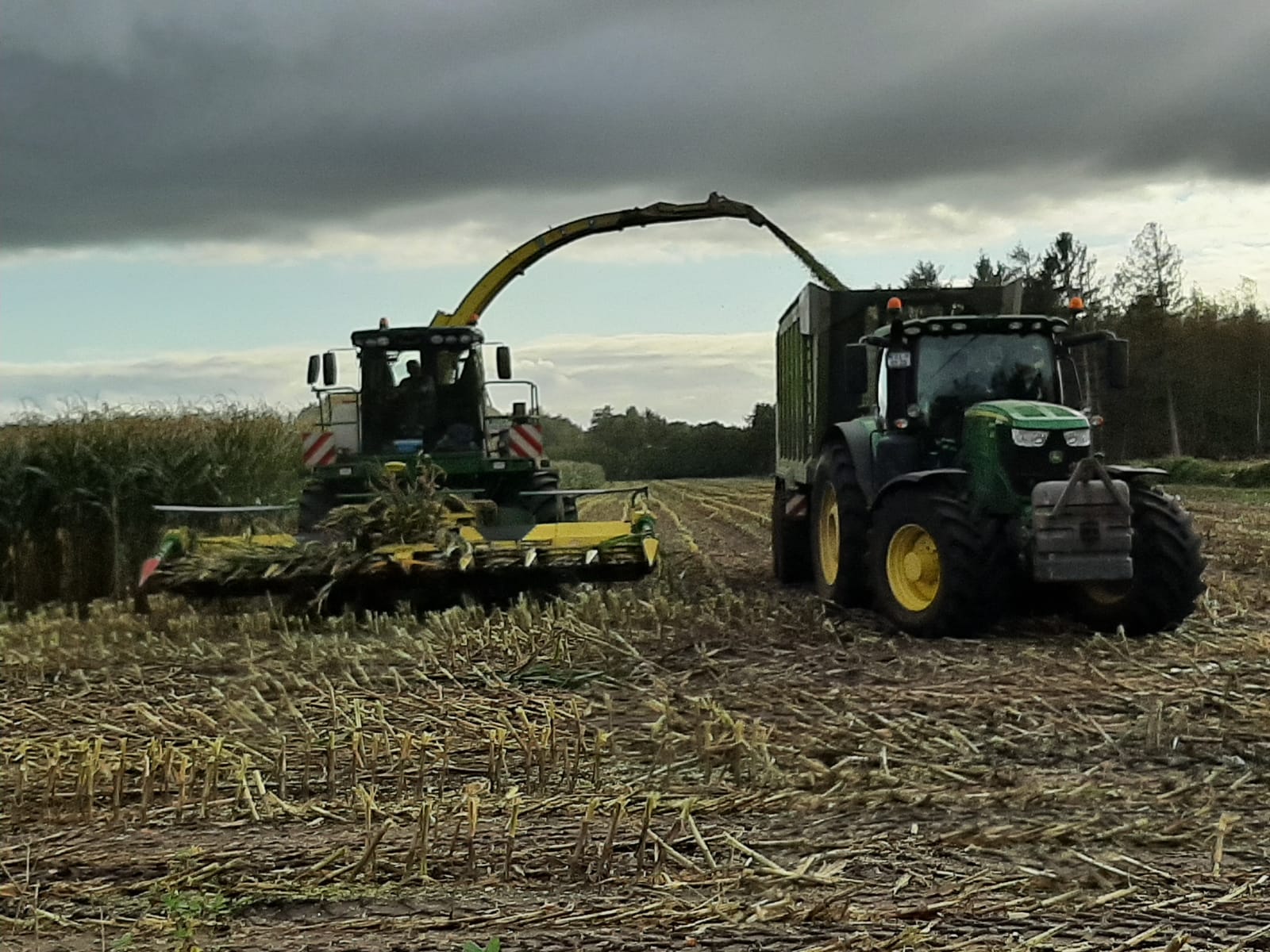 Lohnunternehmen Bäcker GmbH Maisernte Häcksler und Schlepper mit Ladewagen